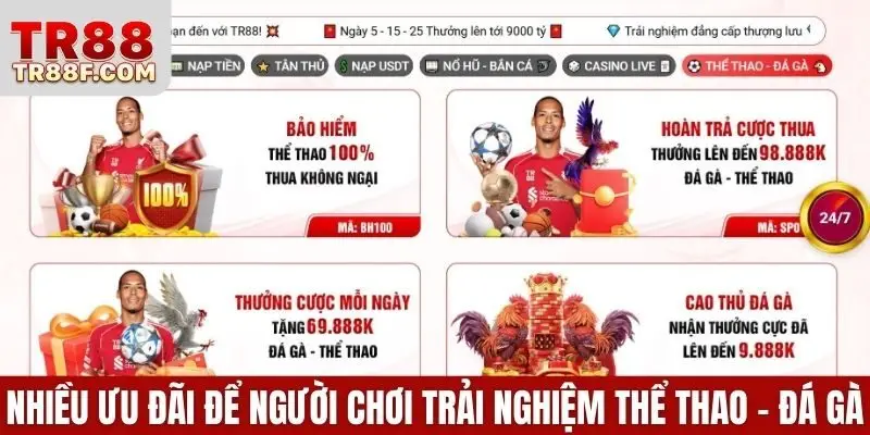 Có nhiều ưu đãi để người chơi trải nghiệm thể thao - đá gà